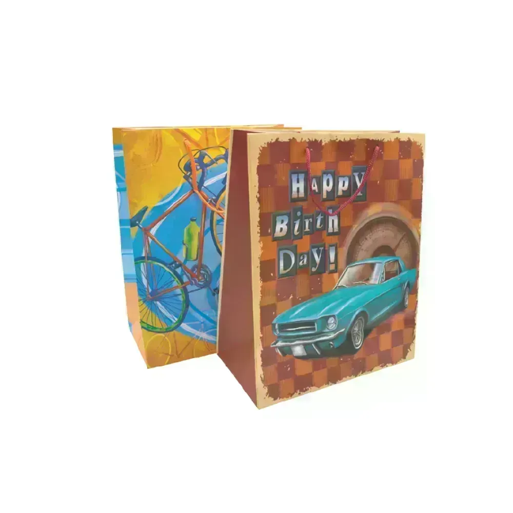Bolsas de Regalo, Large, 26.2 cm x 32.6 cm, Genérico Hombre, 1 Und.