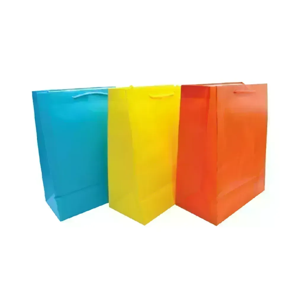 Bolsas de Regalo, Large, 26.2 cm x 32.6 cm, Colores Lisos, 1 Und.