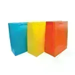 Bolsas de Regalo, Large, 26.2 cm x 32.6 cm, Colores Lisos, 1 Und.