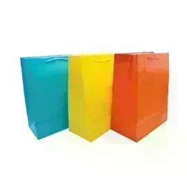 Bolsas de Regalo, Large, 26.2 cm x 32.6 cm, Colores Lisos, 1 Und.