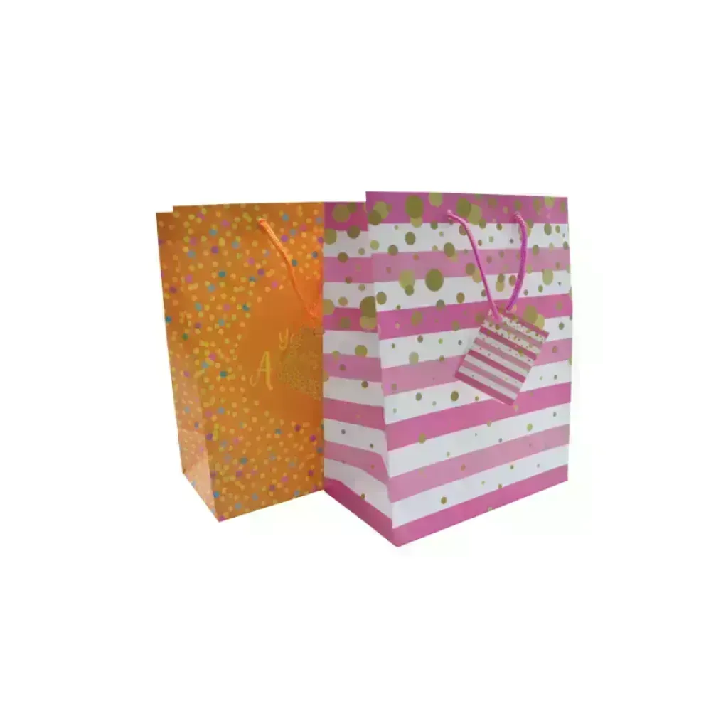 Bolsas de Regalo, Medium, 18 cm x 22.5 cm, Gernerico, 1 Und.