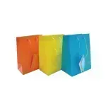 Bolsas de Regalo, Small, 11.3 cm x 14.4 cm, Colores Lisos, 1 Und.